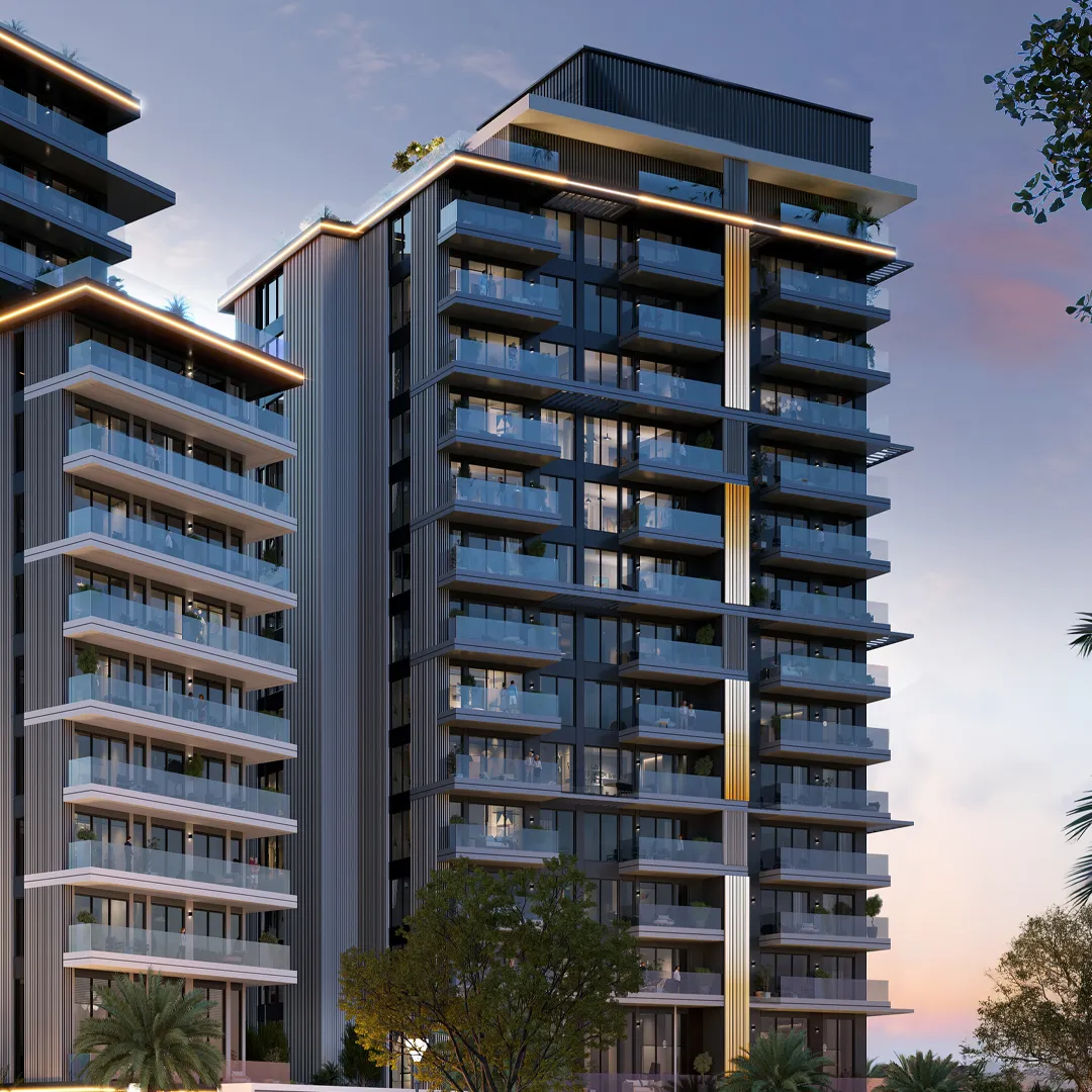 The Project Nearby Places